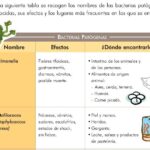 Diferencia entre bacterias patógenas y no patógenas