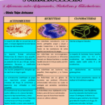 Diferencia entre bacterias y cianobacterias