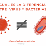 Diferencia entre bacterias y virus