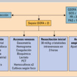 Diferencia entre bacteriemia y septicemia