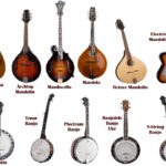 Diferencia entre banjo y mandolina