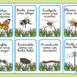 Diferencia entre bichos e insectos