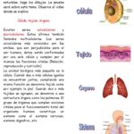 Diferencia entre célula y tejido