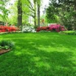Diferencia entre césped y jardín