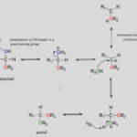 Diferencia entre cetal y acetal