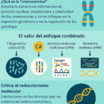 Diferencia entre citogenética y genética molecular