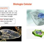 Diferencia entre citología y biología celular
