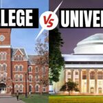 Diferencia entre colegio y universidad