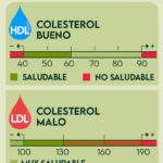 Diferencia entre colesterol bueno y malo