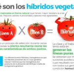 Diferencia entre cruzamiento y transgénico