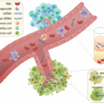 Diferencia entre ctDNA y cfDNA