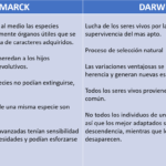 Diferencia entre darwinismo y lamarckismo