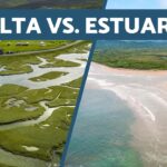 Diferencia entre delta y estuario