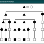 Diferencia entre descendencia patrilineal y matrilineal