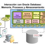 Diferencia entre deshacer y rehacer en Oracle
