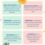 Diferencia entre diabetes mellitus y diabetes insípida