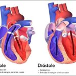 Diferencia entre diástole y sístole
