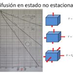 Diferencia entre difusión en estado estacionario y difusión en estado no estacionario