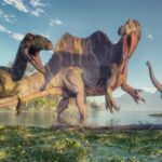 Diferencia entre dinosaurios y reptiles