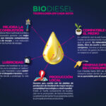 Diferencia entre el biodiésel y el diésel renovable