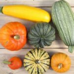 Diferencia entre el calabacín y la calabaza