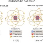 Diferencia entre el carbono 12 y el carbono 14