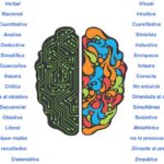 Diferencia entre el cerebro izquierdo y el derecho