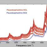 Diferencia entre el clorhidrato de pseudoefedrina y el sulfato de pseudoefedrina