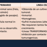 Diferencia entre el cultivo celular primario y la línea celular