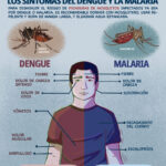 Diferencia entre el dengue y la malaria