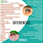Diferencia entre el ébola y el zika