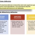 Diferencia entre el mimetismo batesiano y mülleriano