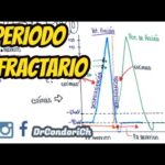 Diferencia entre el período refractario absoluto y relativo