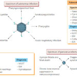 Diferencia entre el poxvirus y el parvovirus