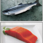 Diferencia entre el salmón rojo y el rosado