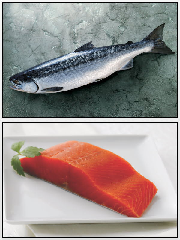 Diferencia entre el salmón rojo y el rosado - PEDIAEXPERTOS