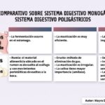 Diferencia entre el sistema digestivo de los monogástricos y los rumiantes