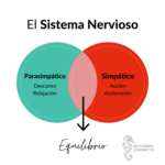 Diferencia entre el sistema nervioso simpático y parasimpático