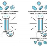 Diferencia entre esterilización y desinfección