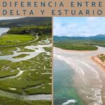Diferencia entre estuario y humedal
