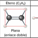 Diferencia entre etano y eteno