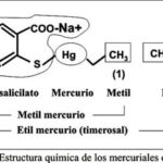 Diferencia entre etilmercurio y metilmercurio