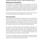 Diferencia entre eucromatina y heterocromatina