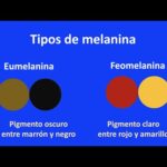 Diferencia entre eumelanina y feomelanina
