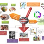 Diferencia entre evaluación organoléptica y sensorial