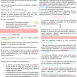 Diferencia entre evolución y especiación