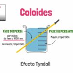 Diferencia entre fase dispersa y medio de dispersión