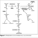 Diferencia entre fenilcetonuria y alcaptonuria