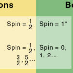 Diferencia entre fermiones y bosones