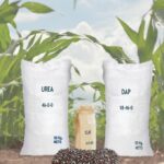 Diferencia entre fertilizantes DAP y NPK